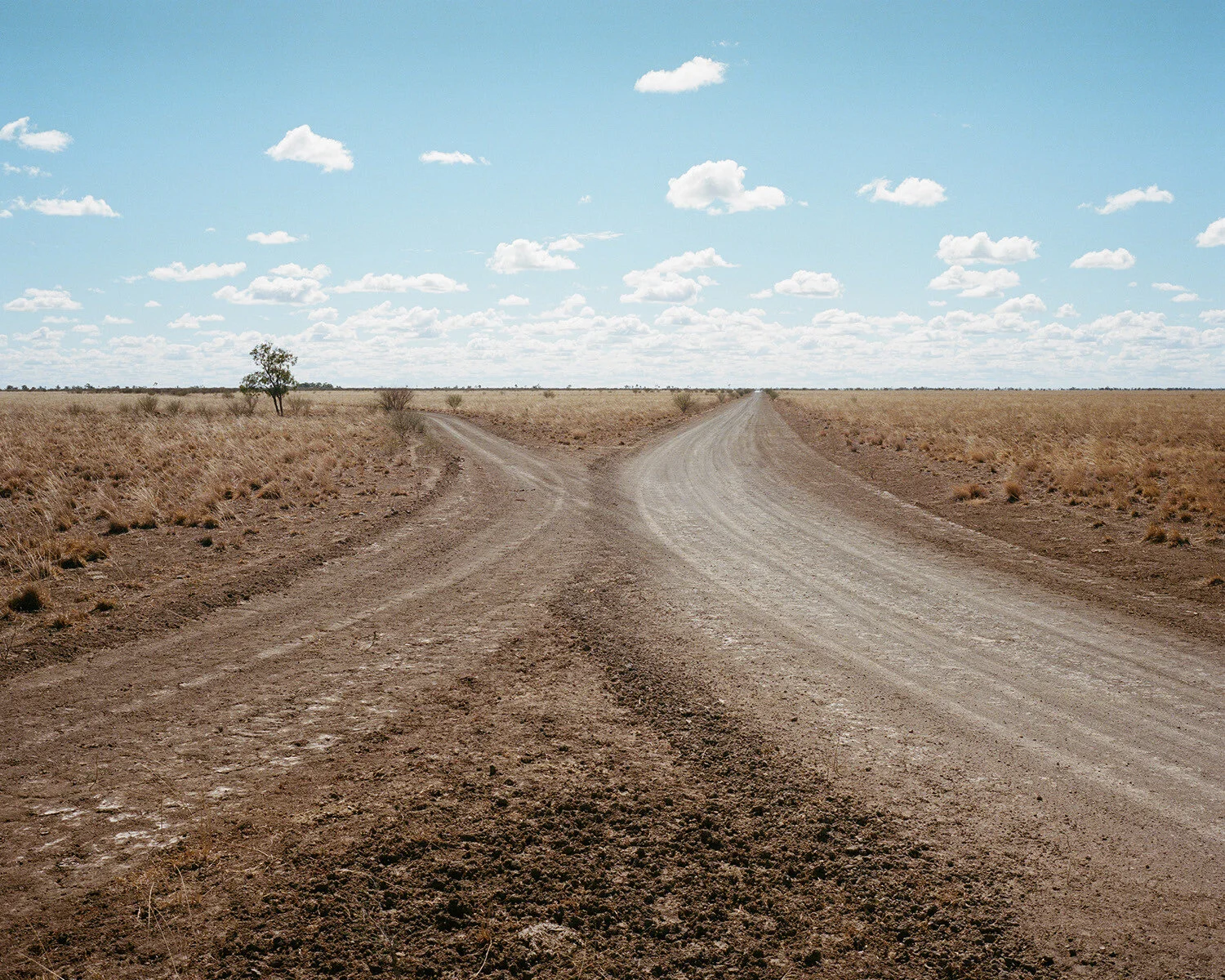 Living the Dream — street-poster installation at Hillvale Gallery, view 14