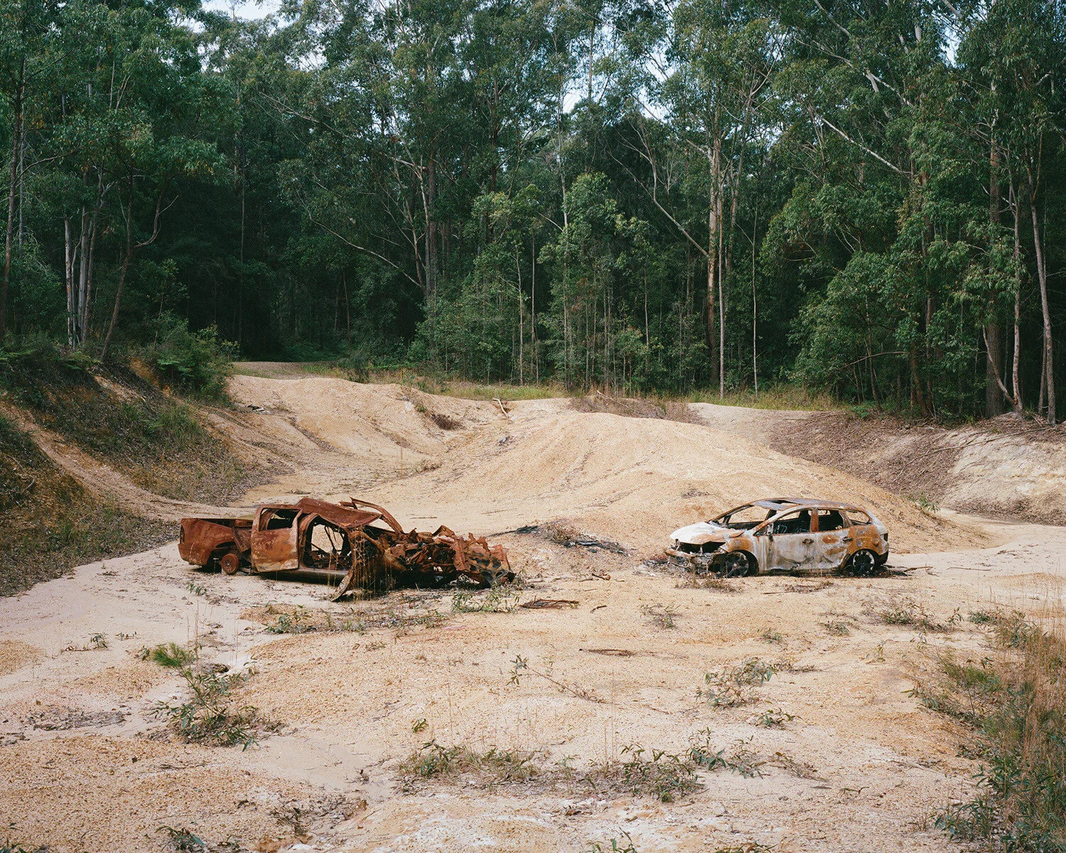 Living the Dream — street-poster installation at Hillvale Gallery, view 18