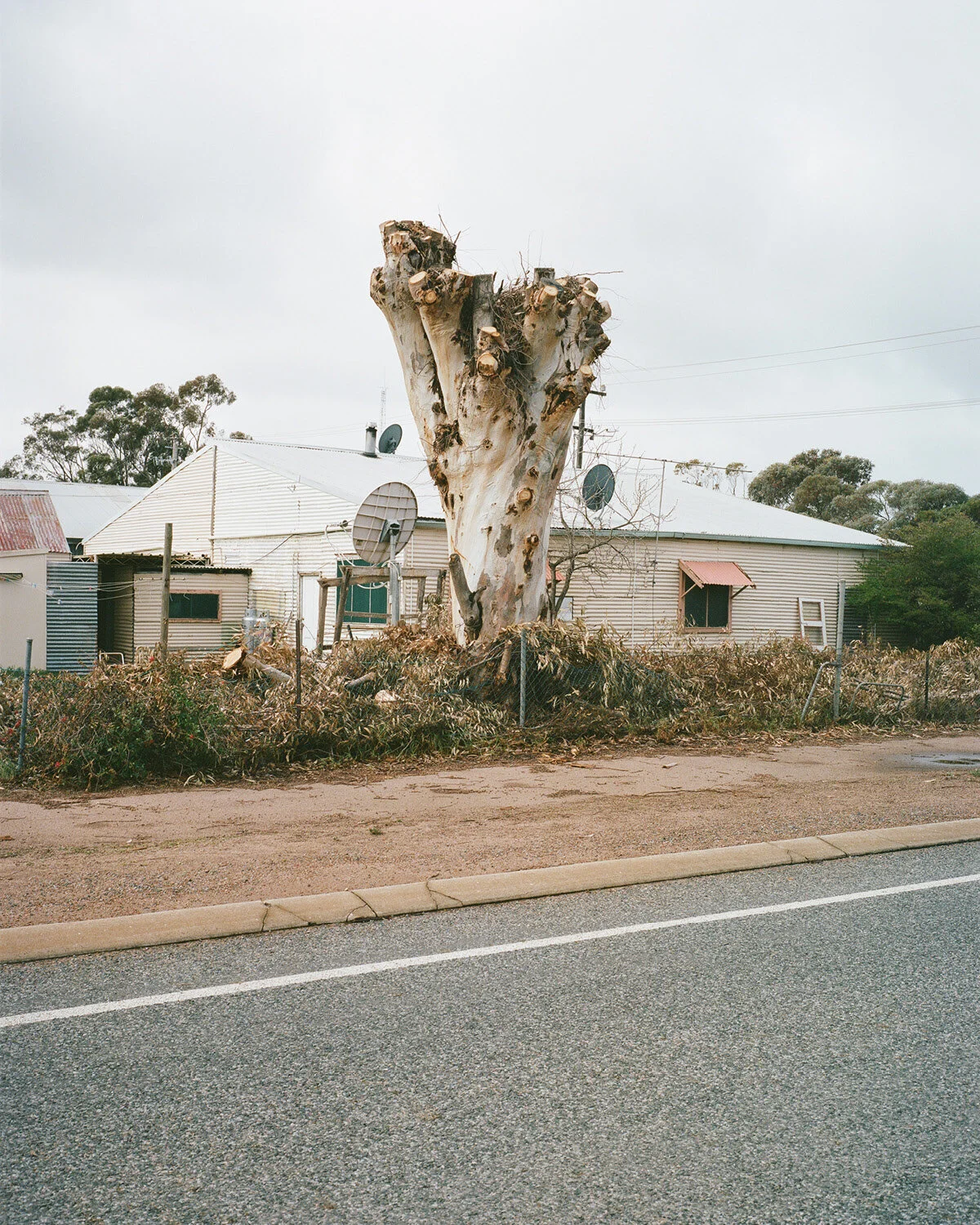 Living the Dream — street-poster installation at Hillvale Gallery, view 21