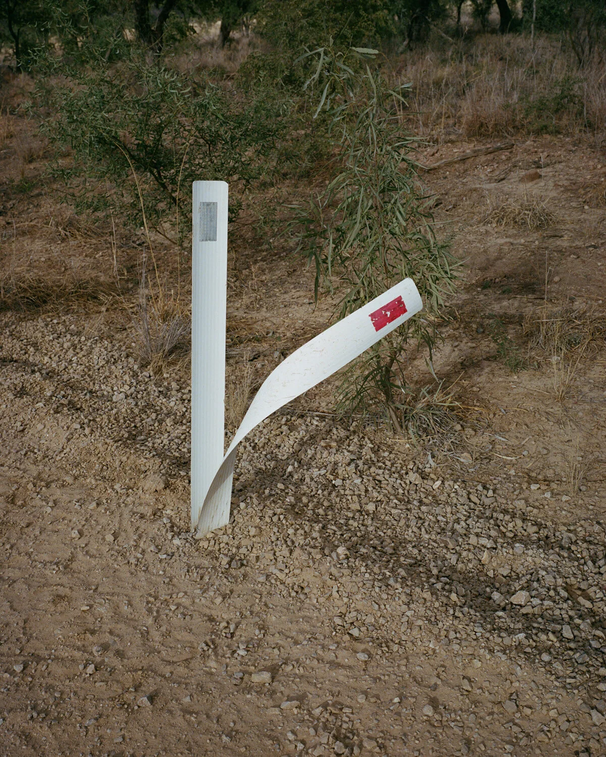 Living the Dream — street-poster installation at Hillvale Gallery, view 31